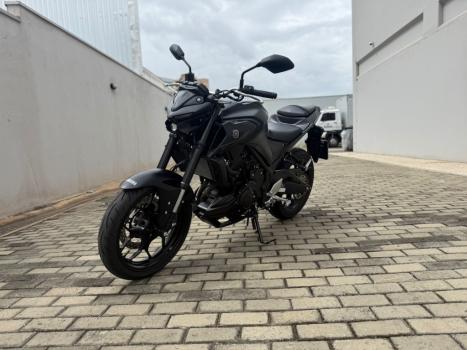 YAMAHA MT-03 300 ABS, Foto 3