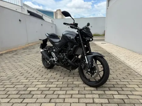 YAMAHA MT-03 300 ABS, Foto 5