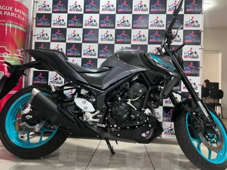 YAMAHA MT-03 300 ABS, Foto 10