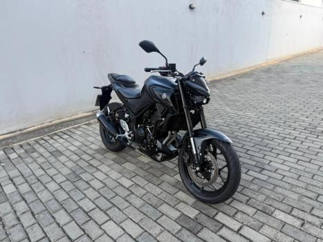 YAMAHA MT-03 300 ABS, Foto 5