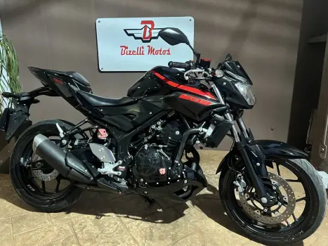 YAMAHA MT-03 300 ABS, Foto 7