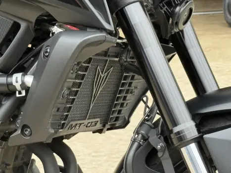 YAMAHA MT-03 300 ABS, Foto 4