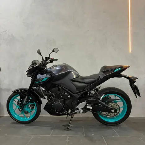 YAMAHA MT-03 300 ABS, Foto 9
