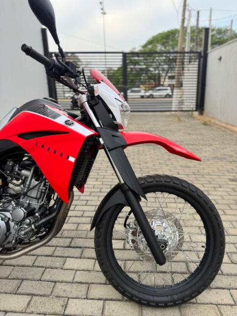YAMAHA XT 660 R , Foto 9 YAMAHA XT 660 R , Foto 9