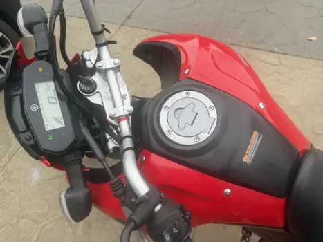 YAMAHA XTZ 250 LANDER, Foto 3