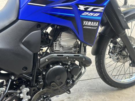 YAMAHA XTZ 250 LANDER, Foto 3