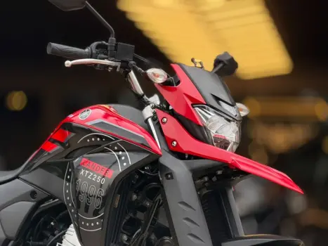 YAMAHA XTZ 250 LANDER, Foto 3