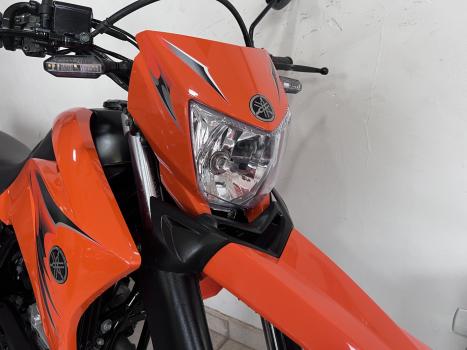 YAMAHA XTZ 250 X LANDER, Foto 14