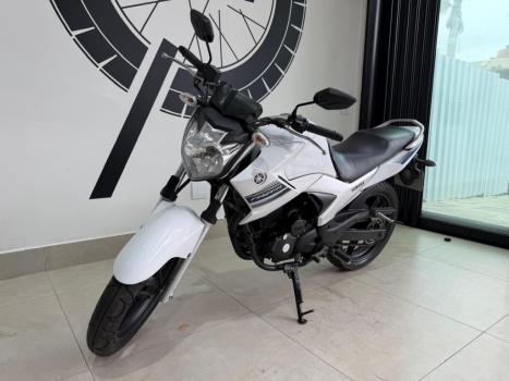 YAMAHA YS Fazer 250 BLUE FLEX, Foto 6