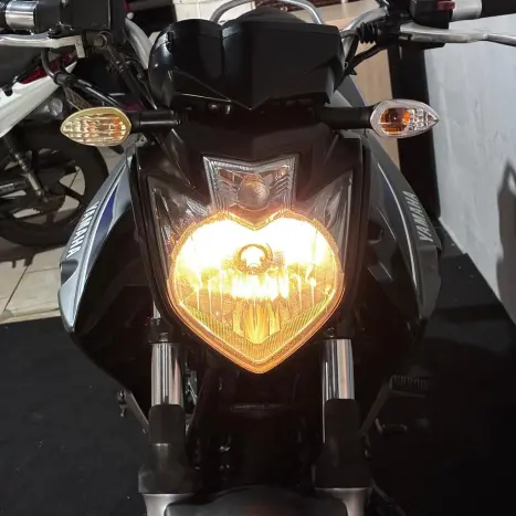 YAMAHA YS Fazer 250 BLUE FLEX, Foto 19