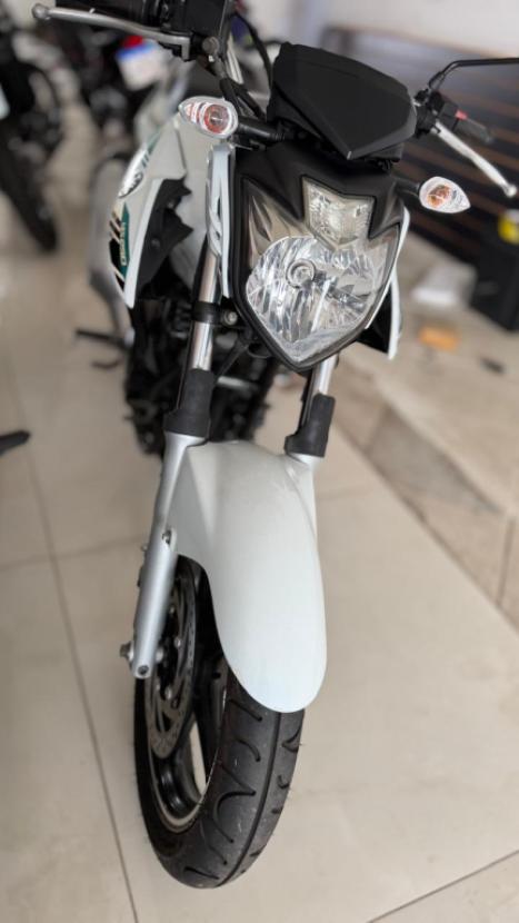 YAMAHA YS Fazer 250 BLUE FLEX, Foto 2
