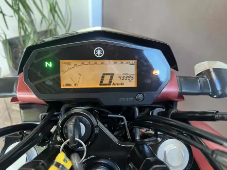 YAMAHA YS Fazer 250 , Foto 8