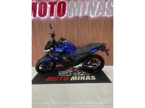 YAMAHA YS Fazer 250 LIMITED EDITION, Foto 2