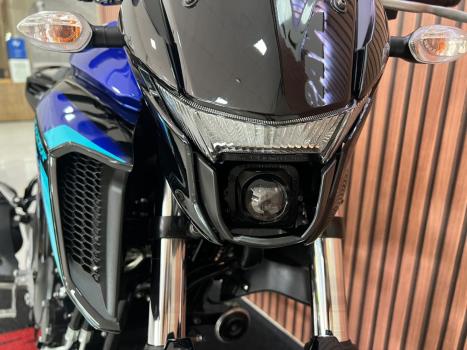 YAMAHA YS Fazer 250 LIMITED EDITION, Foto 5