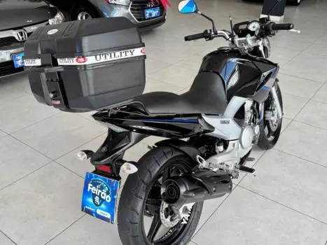 YAMAHA YS Fazer 250 LIMITED EDITION, Foto 6