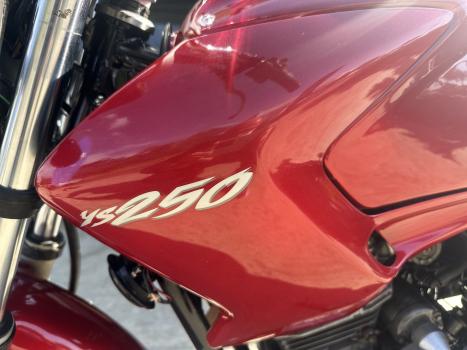 YAMAHA YS Fazer 250 LIMITED EDITION, Foto 5