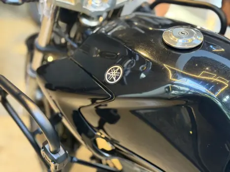 YAMAHA YS Fazer 250 LIMITED EDITION, Foto 10