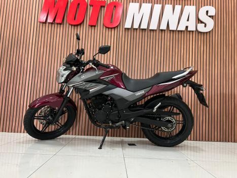 YAMAHA YS Fazer 250 BLUE FLEX, Foto 2