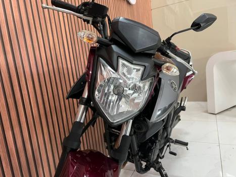 YAMAHA YS Fazer 250 BLUE FLEX, Foto 3