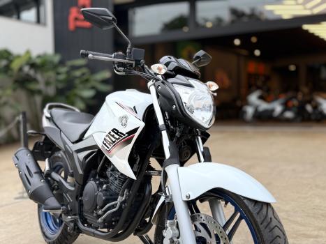 YAMAHA YS Fazer 250 LIMITED EDITION, Foto 3