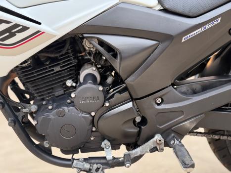 YAMAHA YS Fazer 250 LIMITED EDITION, Foto 8