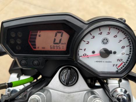 YAMAHA YS Fazer 250 LIMITED EDITION, Foto 9