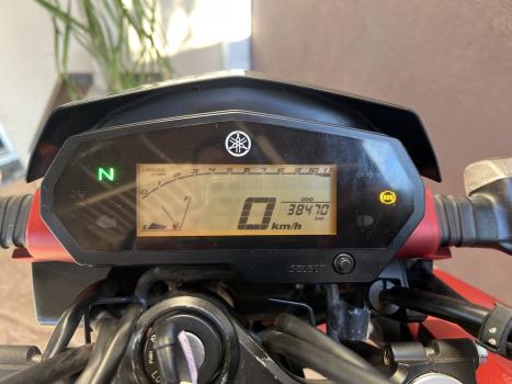 YAMAHA YS Fazer 250 LIMITED EDITION, Foto 4