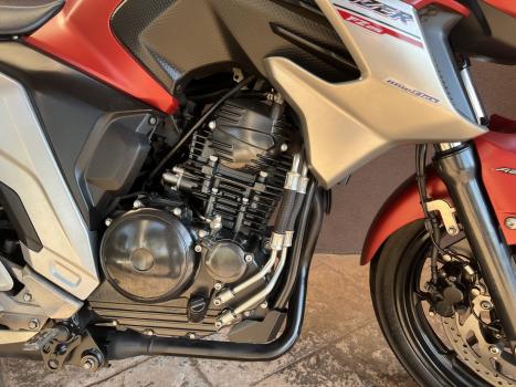 YAMAHA YS Fazer 250 LIMITED EDITION, Foto 9