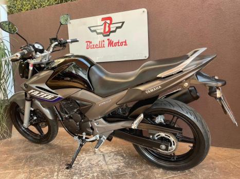 YAMAHA YS Fazer 250 LIMITED EDITION, Foto 3