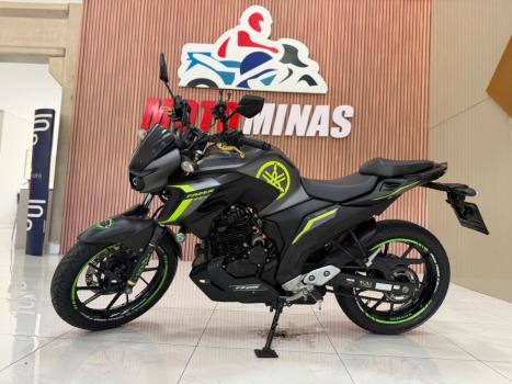 YAMAHA YS Fazer 250 LIMITED EDITION, Foto 1