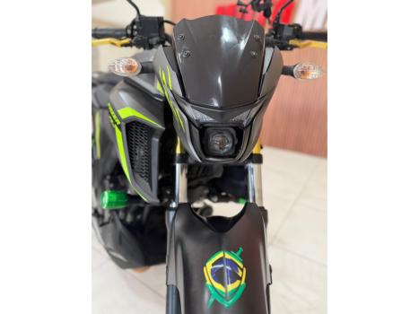 YAMAHA YS Fazer 250 LIMITED EDITION, Foto 9
