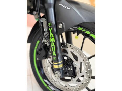 YAMAHA YS Fazer 250 LIMITED EDITION, Foto 11
