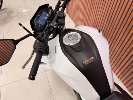YAMAHA YS Fazer 250 LIMITED EDITION, Foto 6