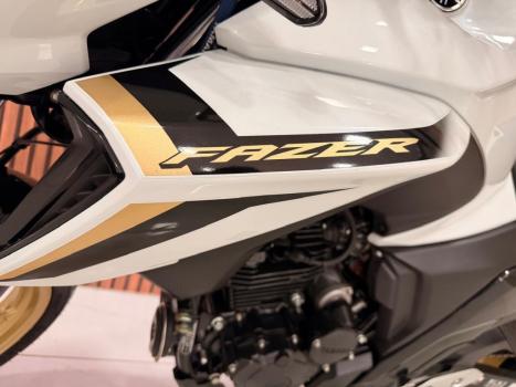 YAMAHA YS Fazer 250 LIMITED EDITION, Foto 7