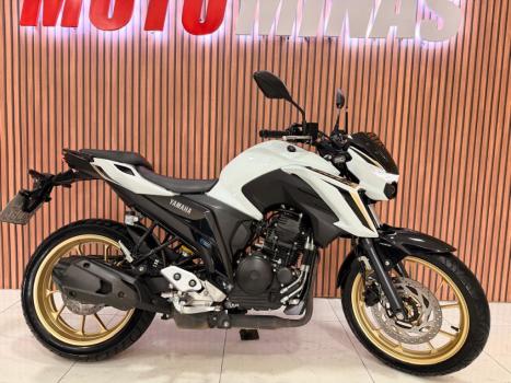 YAMAHA YS Fazer 250 LIMITED EDITION, Foto 10