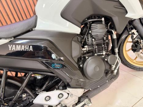 YAMAHA YS Fazer 250 LIMITED EDITION, Foto 13