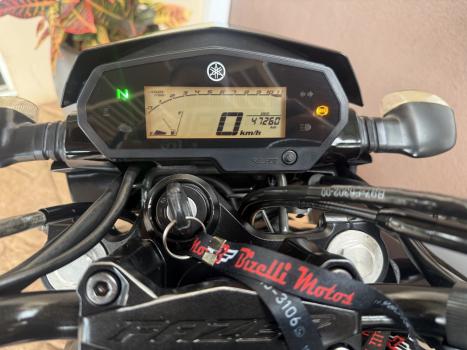 YAMAHA YS Fazer 250 BLUE FLEX, Foto 12
