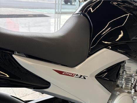YAMAHA YS Fazer 250 LIMITED EDITION, Foto 18