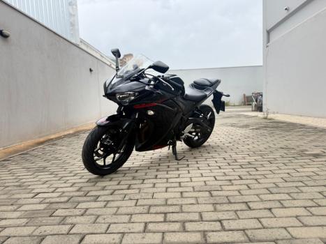 YAMAHA YZF R3 300 ABS, Foto 7