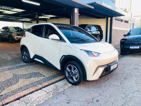 BYD Dolphin Mini 38 KW ELTRICO, Foto 3