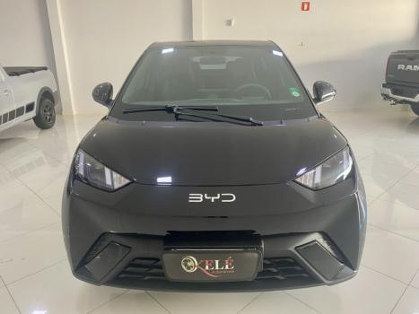BYD Dolphin Mini 38 KW ELTRICO, Foto 3