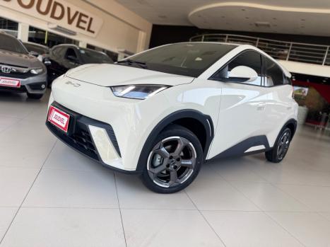 BYD Dolphin Mini 38 KW ELTRICO, Foto 1