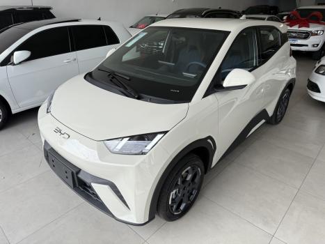 BYD Dolphin Mini 38 KW ELTRICO, Foto 1