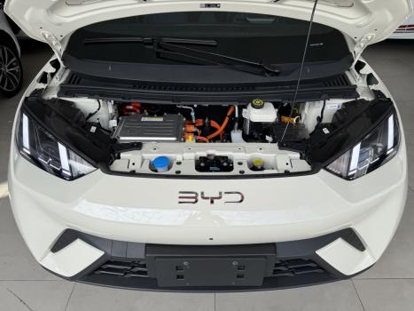 BYD Dolphin Mini 38 KW ELTRICO, Foto 5
