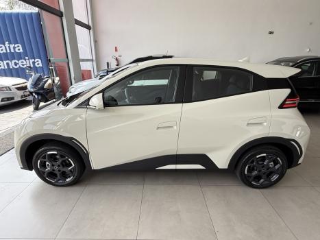 BYD Dolphin Mini 38 KW ELTRICO, Foto 15