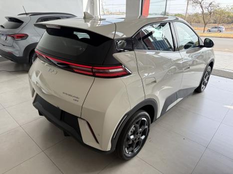 BYD Dolphin Mini 38 KW ELTRICO, Foto 2
