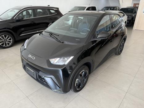 BYD Dolphin Mini 38 KW ELTRICO, Foto 1