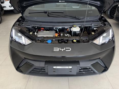 BYD Dolphin Mini 38 KW ELTRICO, Foto 4