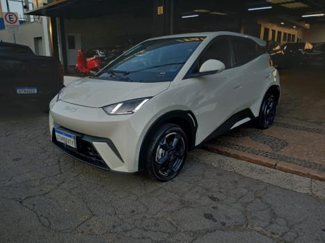 BYD Dolphin Mini 38 KW ELTRICO, Foto 1