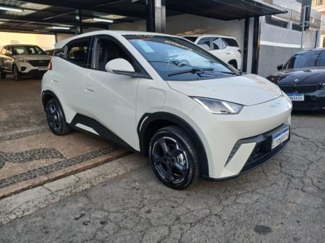 BYD Dolphin Mini 38 KW ELTRICO, Foto 3